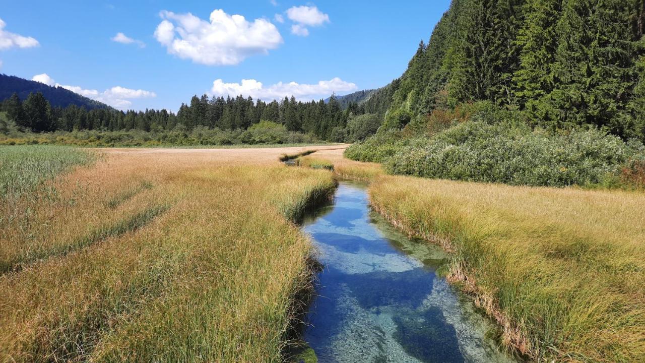 House Godec - Ratece Planica Διαμέρισμα Kranjska Gora Εξωτερικό φωτογραφία