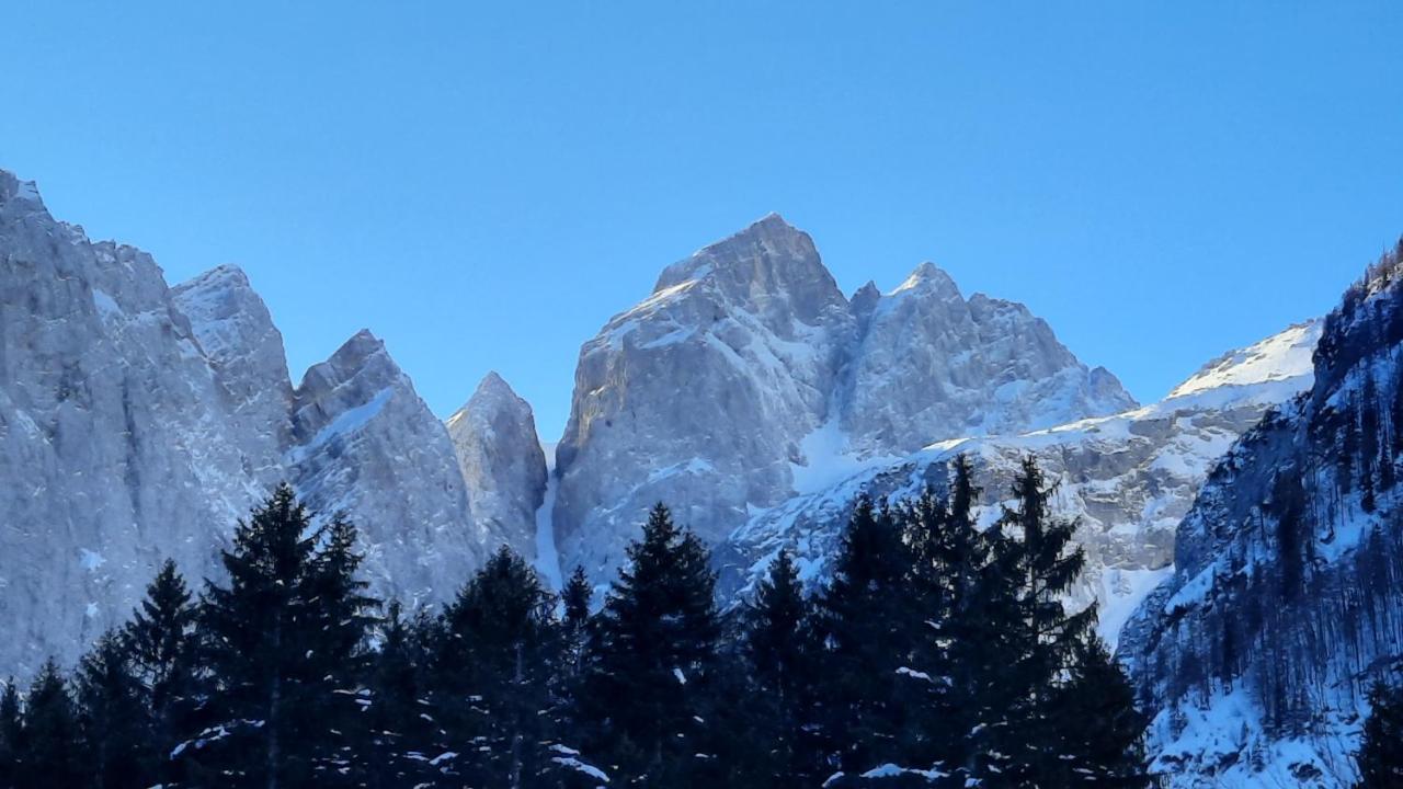 House Godec - Ratece Planica Διαμέρισμα Kranjska Gora Εξωτερικό φωτογραφία
